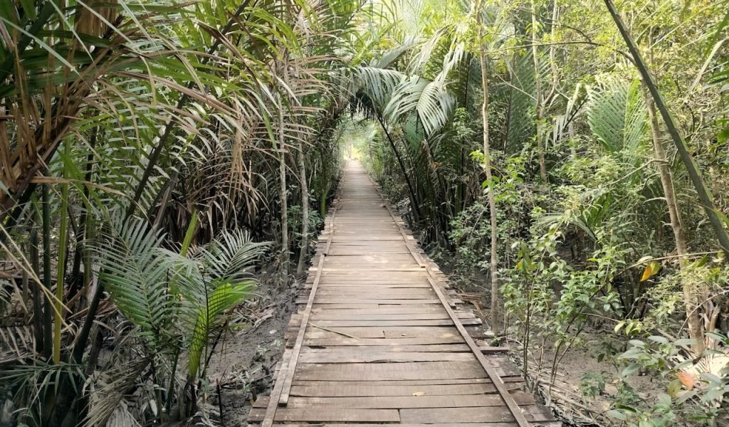 Jebal Akhdar sundarban