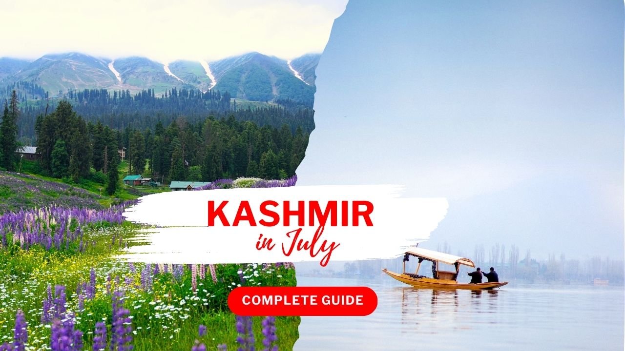 Kashmir in July