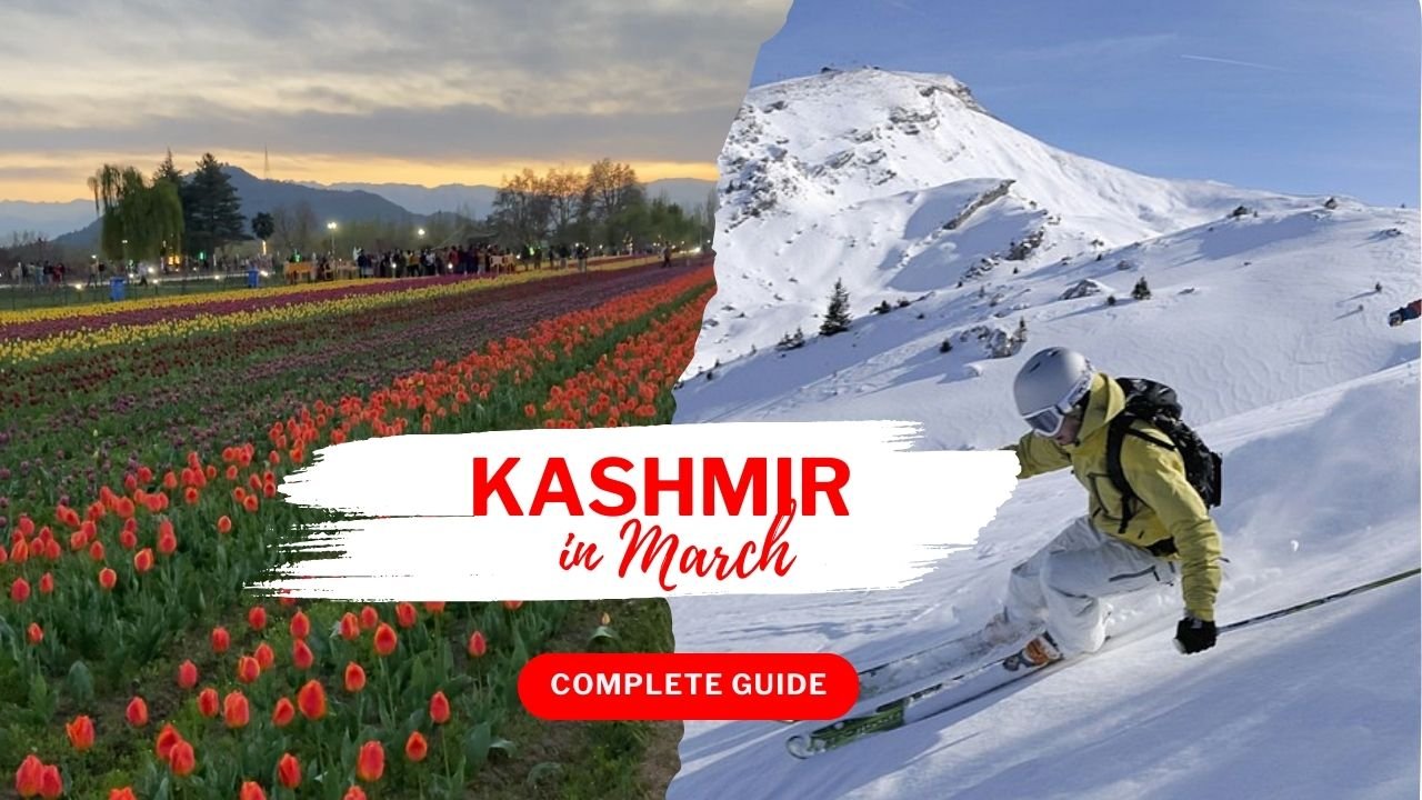 Kashmir in March