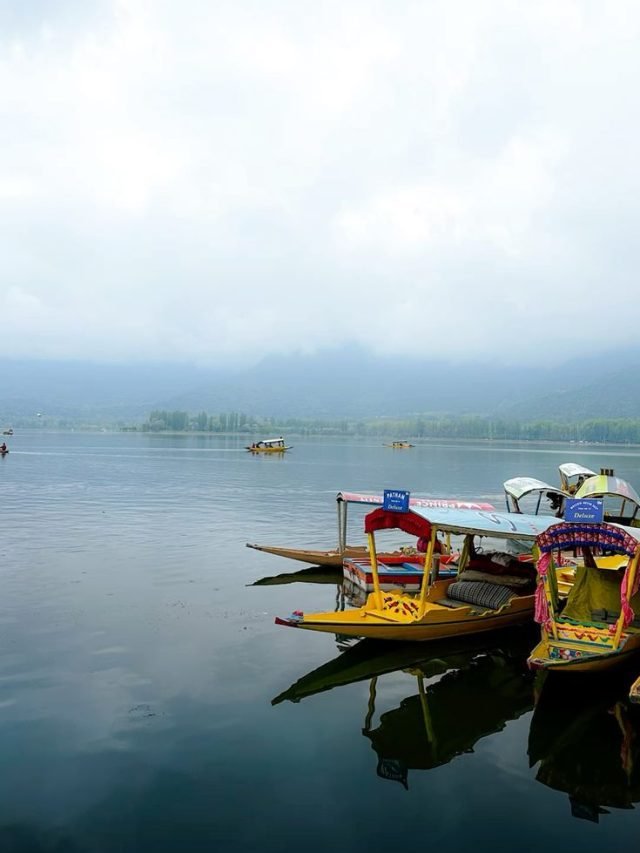 Activities To Do In Kashmir
