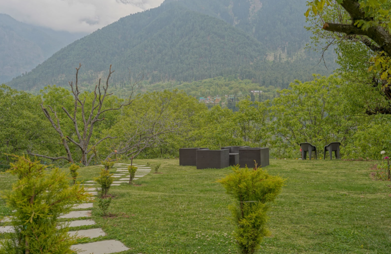 Chinar Resort Lawn