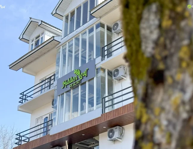 Hidden Leaf Pahalgam