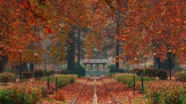 LUXURY STAY BOOKING IN SRINAGAR