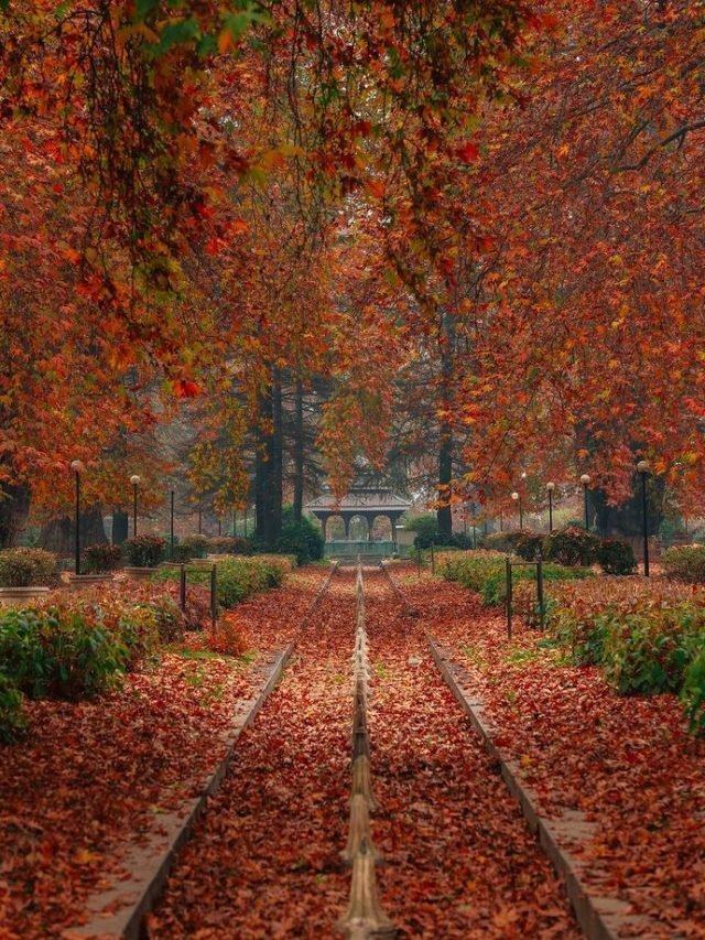 Best Time To Visit Kashmir