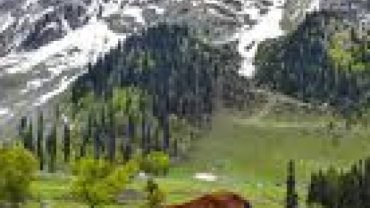 Activities to do in Kashmir