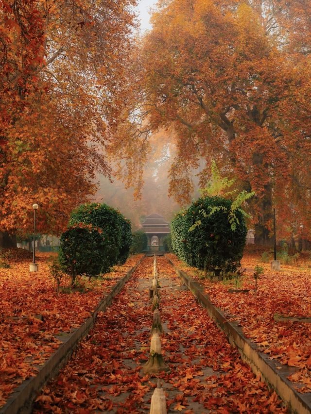 6 Days Kashmir Trip