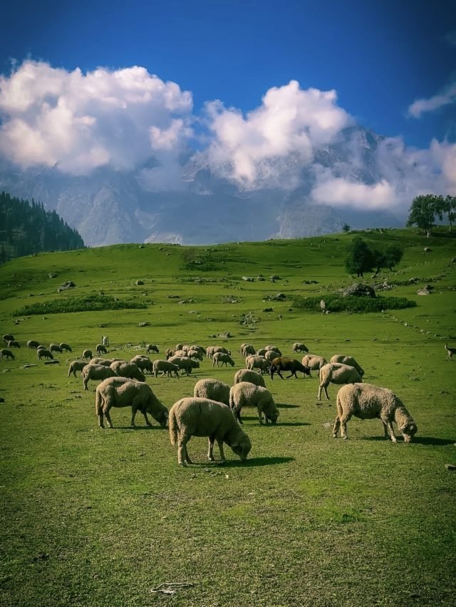 Reasons To Visit Warwan Valley