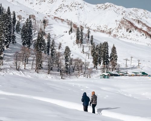 Sonmarg Day Trip