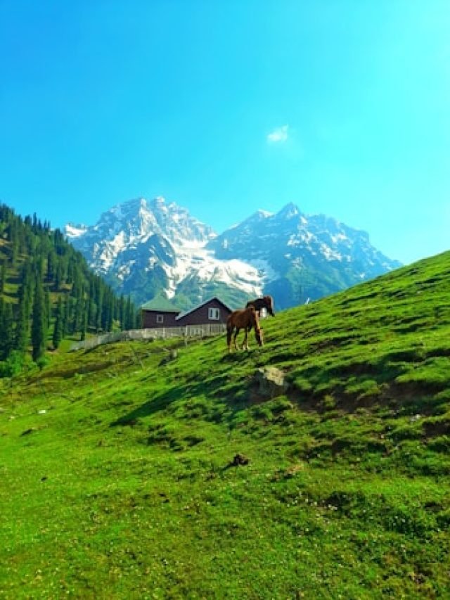7 Places In Kashmir That Look Unreal