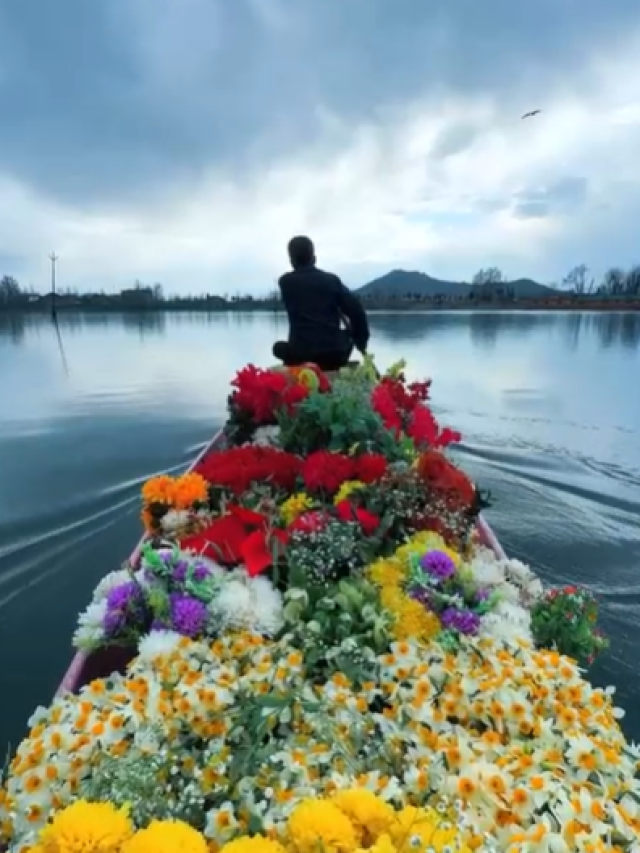 Things You Can Buy In Kashmir