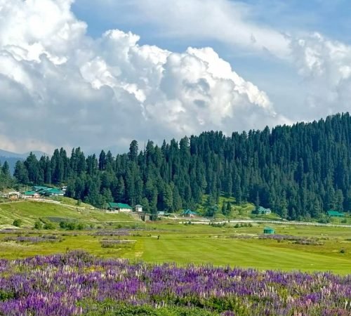 Gulmarg