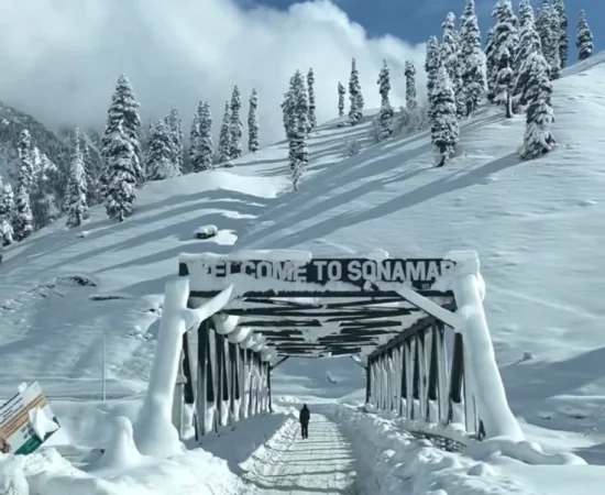 Sonmarg