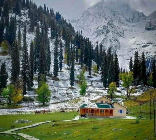 Sonmarg Day Trip