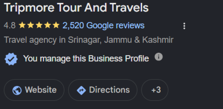 Tripmore Google reviews