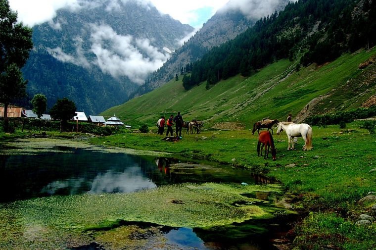 kashmir-tour-package-for-kerala-sonmarg