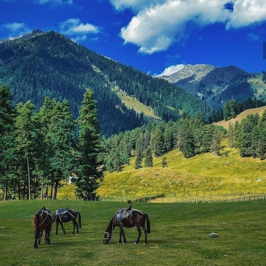 pahalgam-sightseeing
