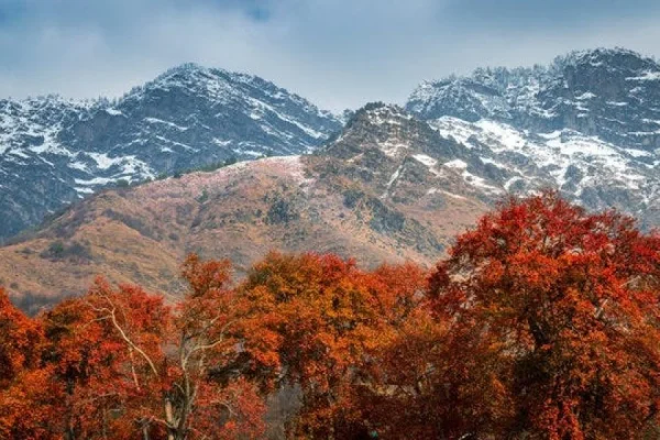 chandanwari-autum