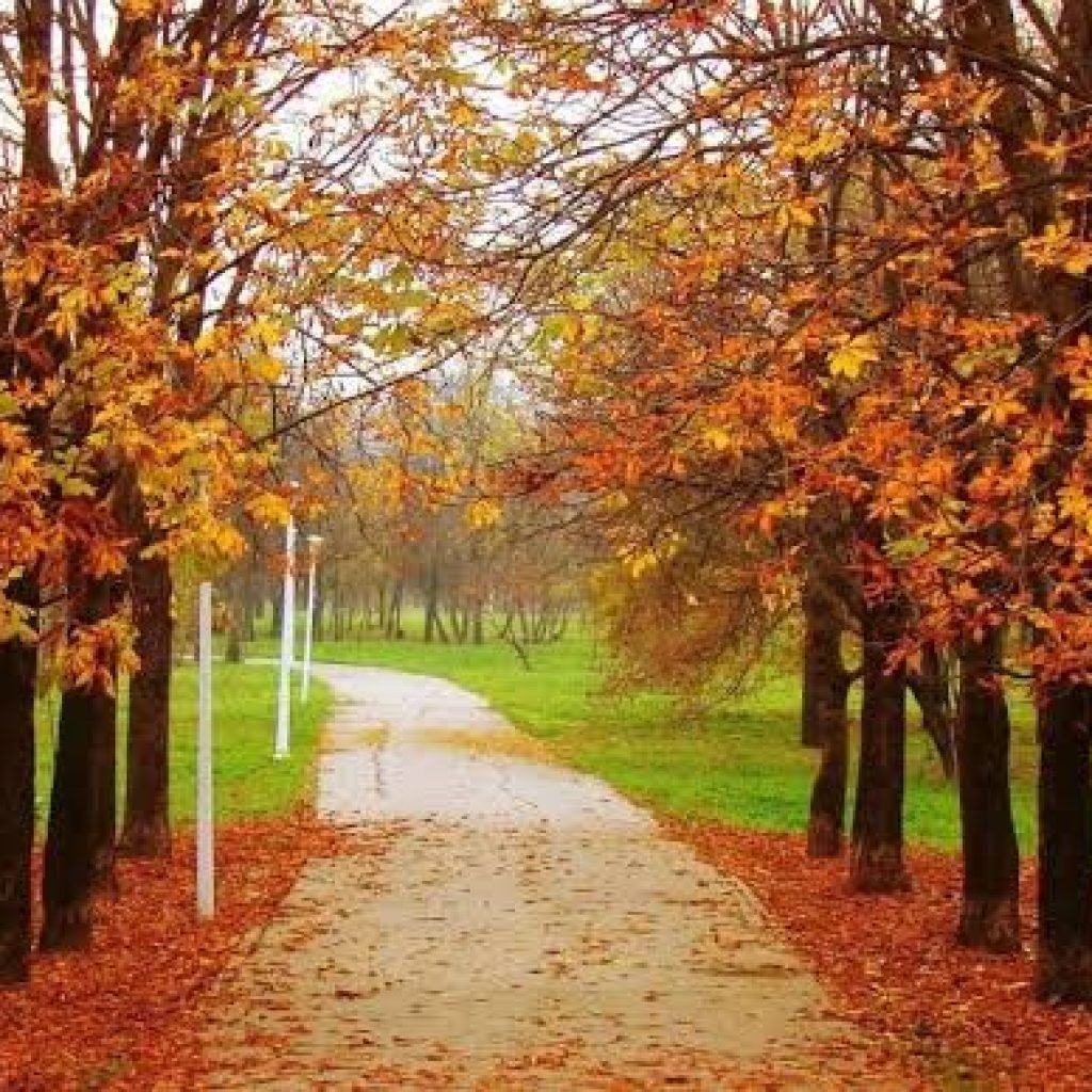 kashmir-tour-package-in-october