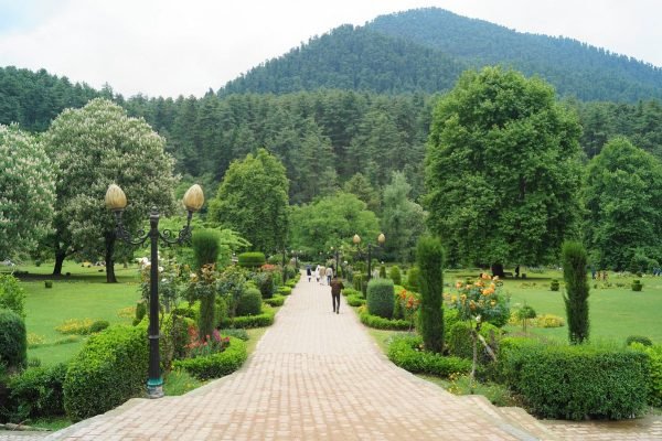 kokernag-in-summer kokernag-in-summer