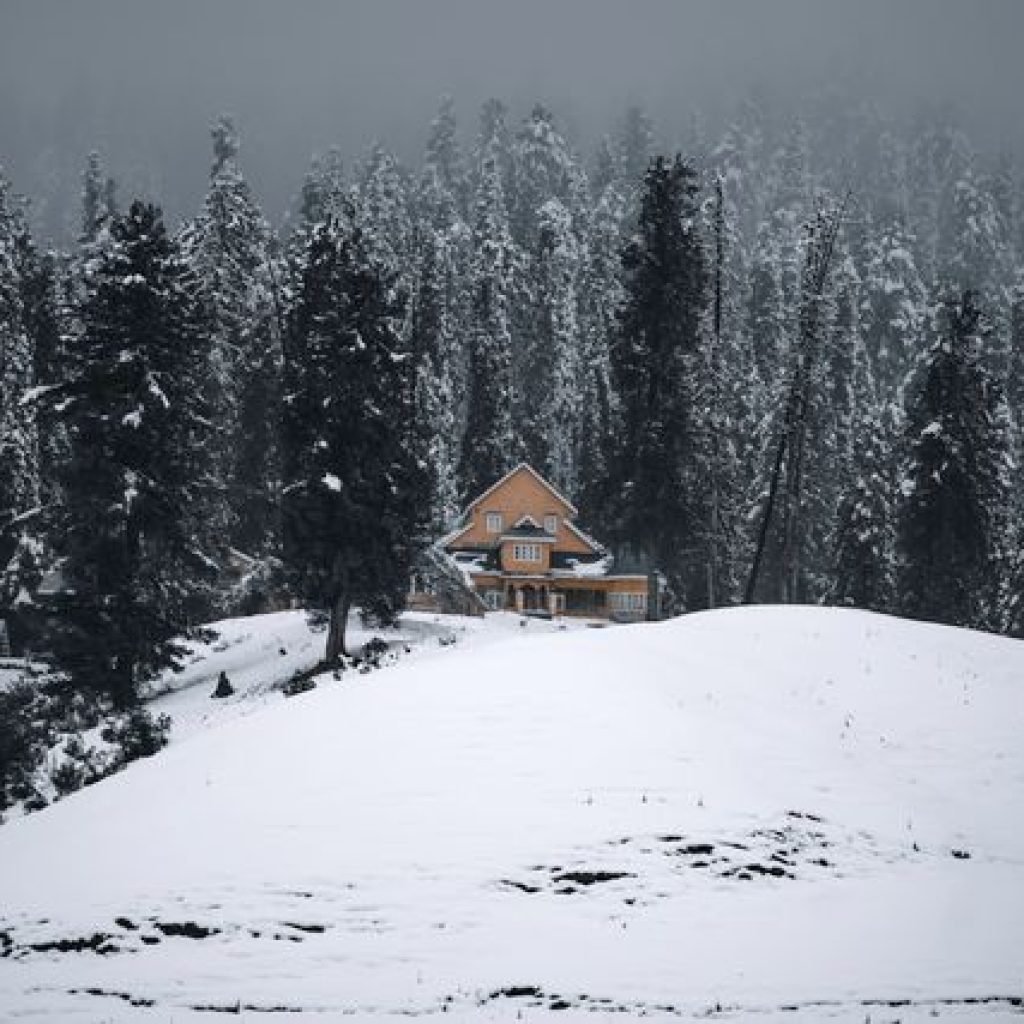kashmir-tour-package-gulmarg