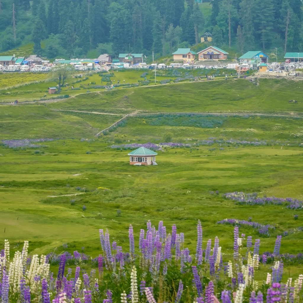 pahalgam-trip-image