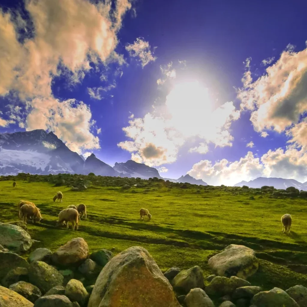songmarg-in-october