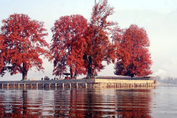 srinagar-in-autumn