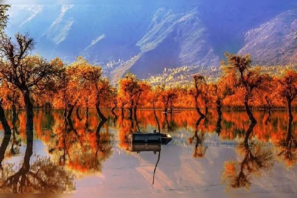 Wular Lake_autum